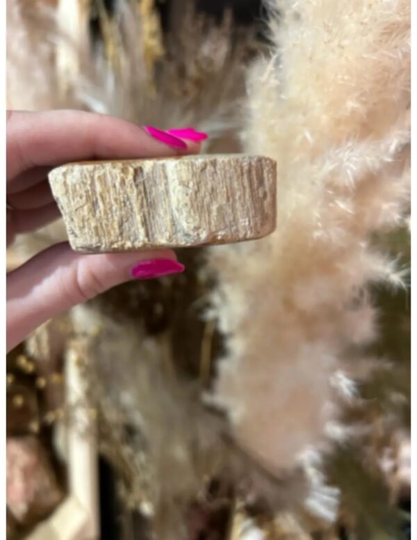 Versteend hout half gepolijst 100-185 gram (Java) - Image 4