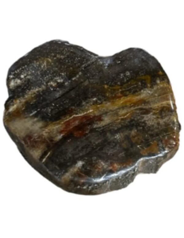 Versteend hout half gepolijst 185-250 gram (Java)