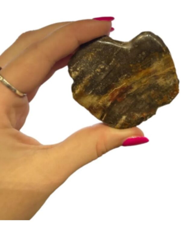 Versteend hout half gepolijst 185-250 gram (Java) - Image 3