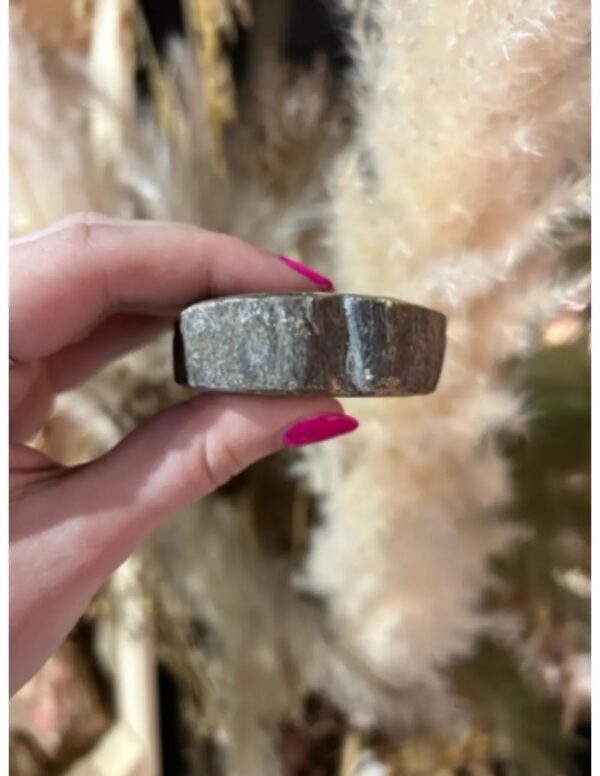 Versteend hout half gepolijst 185-250 gram (Java) - Image 4