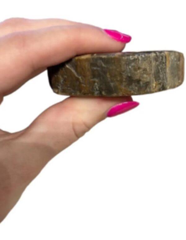 Versteend hout half gepolijst 185-250 gram (Java) - Image 5