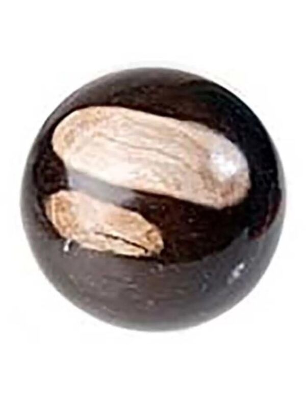 Versteend hout edelsteen bol 19 cm