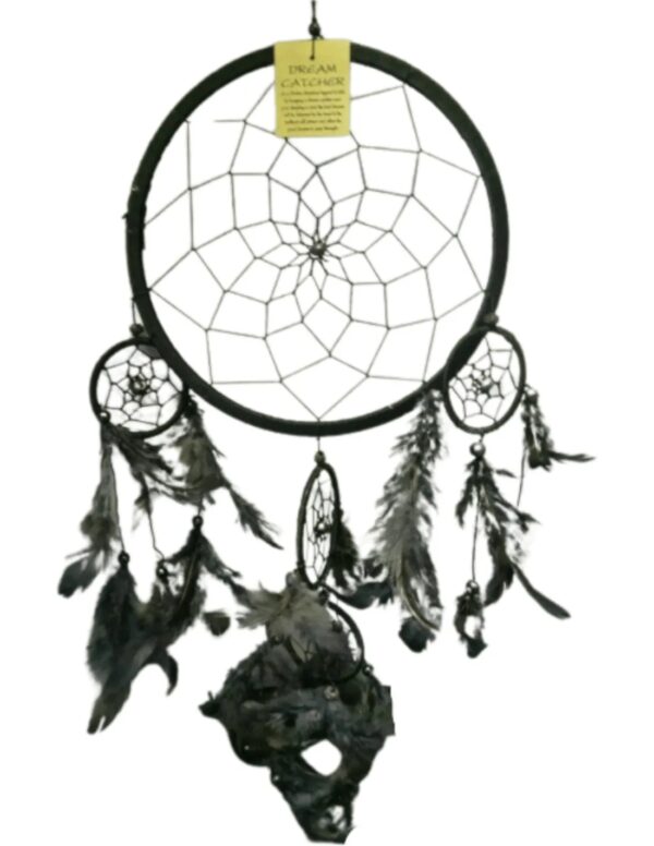 Dromenvanger veren 32cm Zwart